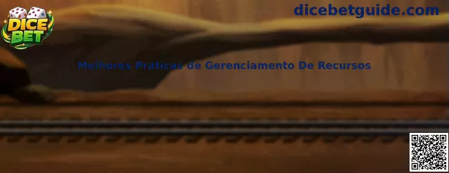 Melhores Práticas de Gerenciamento De Recursos